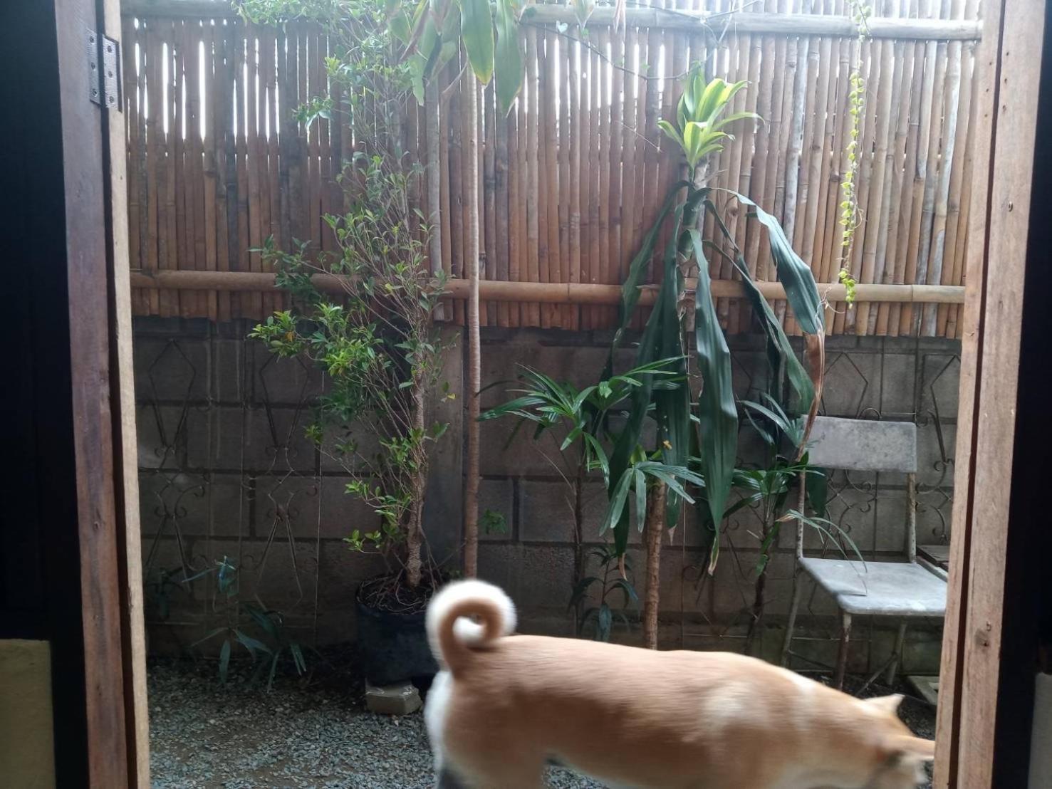Imchai Pai Dış mekan fotoğraf